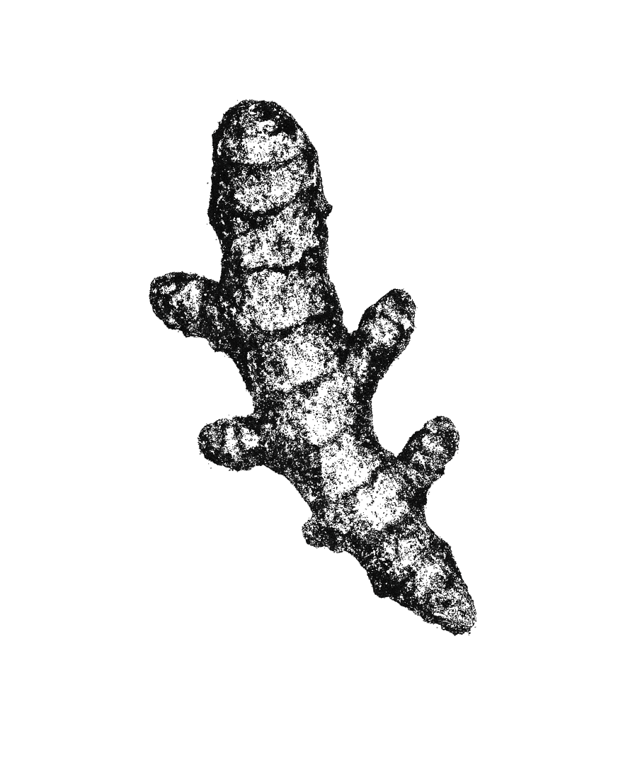 Fájlnév: salt-design-belsoepiteszet-menedzsment.jpg.