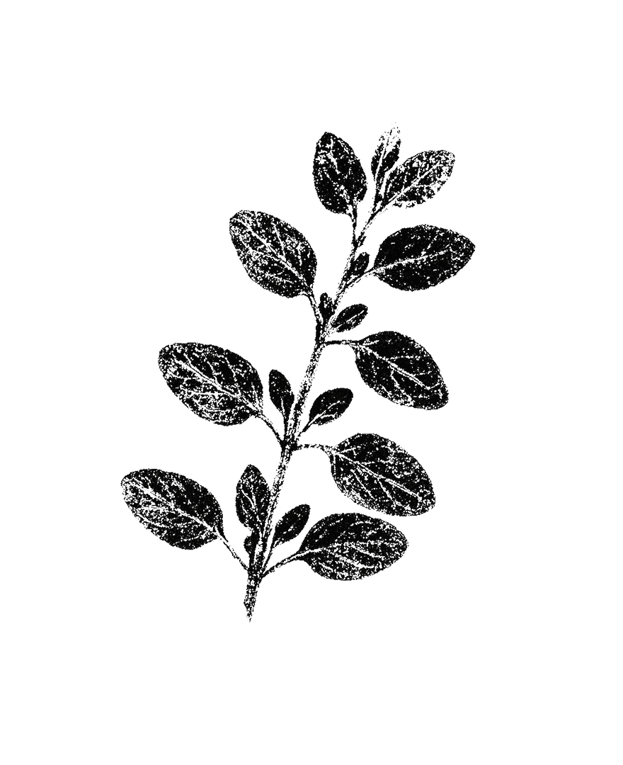 ZöldLeveles ág, növényi motívum, természetes dekoráció, belsőépítészet, design, környezettudatos stílus, korszerű lakberendezés, Salt Design, teljes körű belsőépítészet, enteriőr menedzsment, kreatív tértervezés.