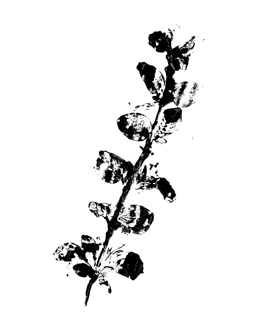 Fájl név: salt-design-belsőépítészet-menedzsment-kiadvány.jpg.