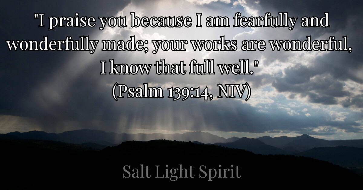 Wonderfully Made