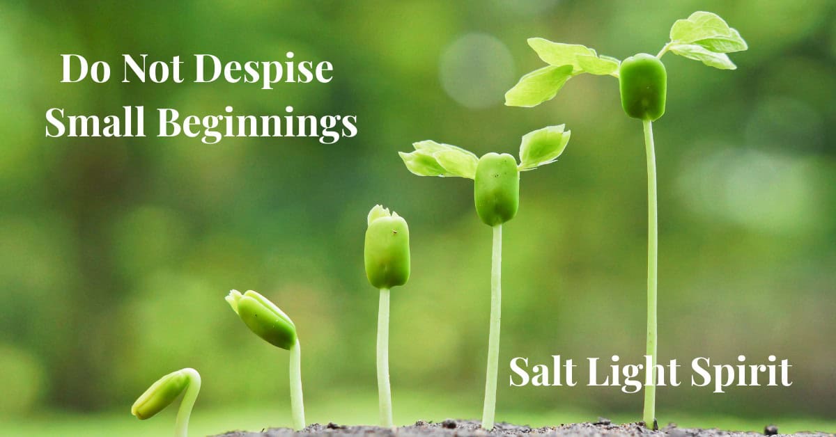 Do Not Despise Small Beginnings