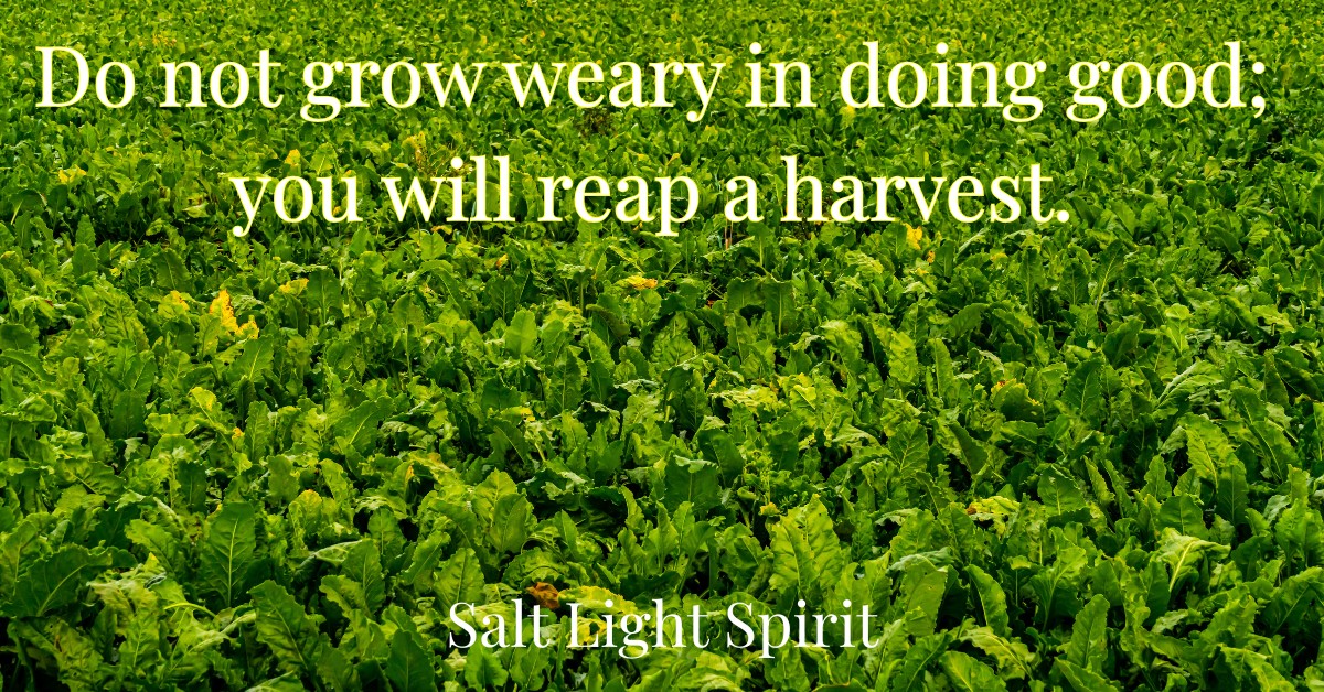 Do Not Grow Weary