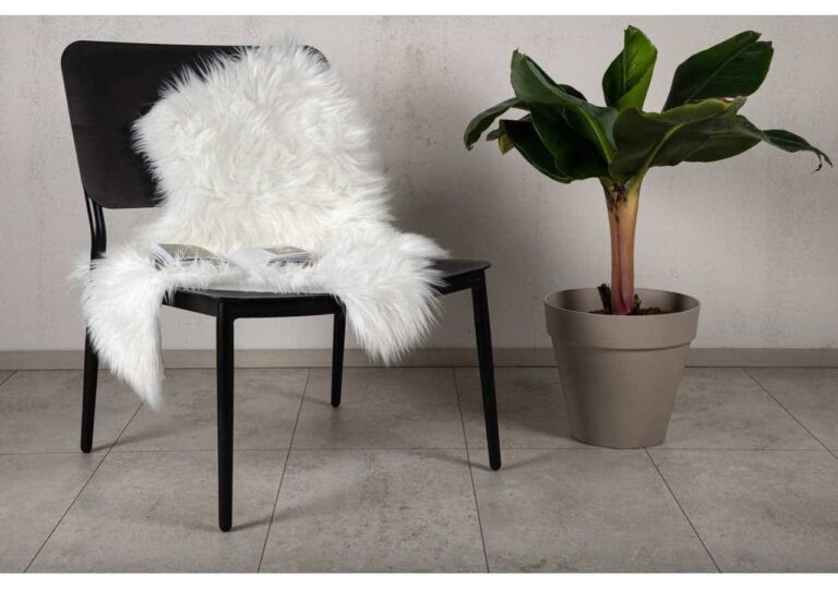 Möbel i modern inredning med svart stol och sheepskin, samt stor gröna växt i beige kruka.