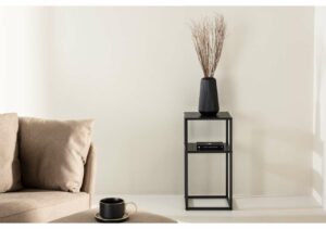 Elegant svart vas med grenar på stilren svart sidebord i vardagsrummet.