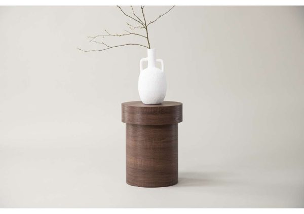 Elegant breakfront vase with dead branches, minimalist decor for modern interior design.