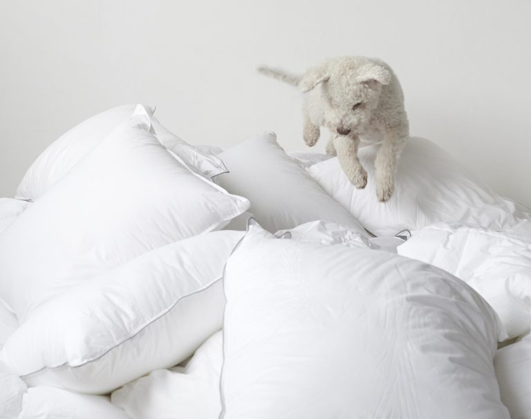 Mjuk vit hundhop över säng med vita täcken och kuddar, skapar ett inbjudande och bekvämt sovrum.