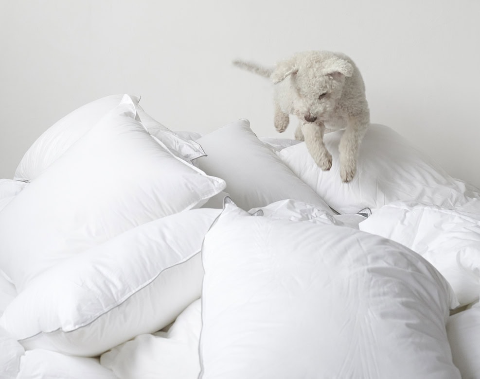 2699_2697_2698_3 Mjuk vit hundhop över säng med vita täcken och kuddar, skapar ett inbjudande och bekvämt sovrum.