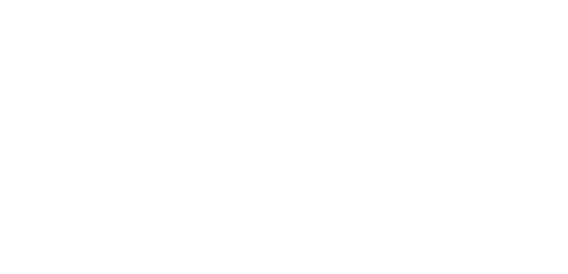 logo de sanka