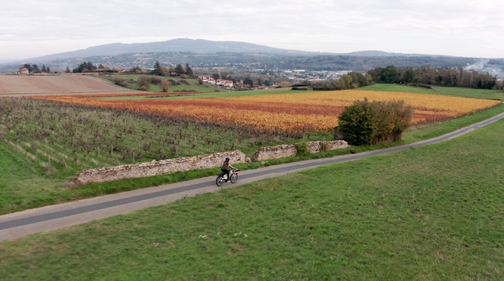 un velo sur route bucolique vu d'un drone en automne