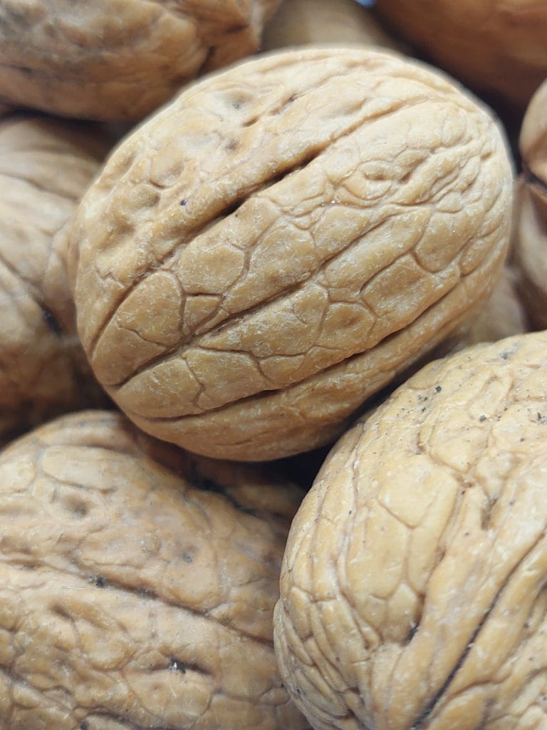 İnce kabuklu beyaz kelebek iç yerli üretim ceviz