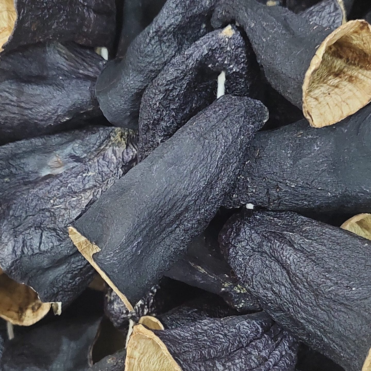 dolmalik-patlican-burun.jpg Dolmalık patlıcan kurusu burun dizi