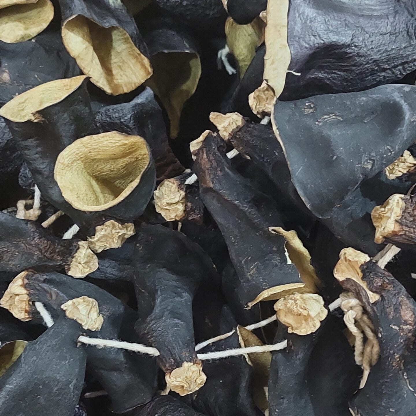 Dolmalık patlıcan kurusu güneş kurusu