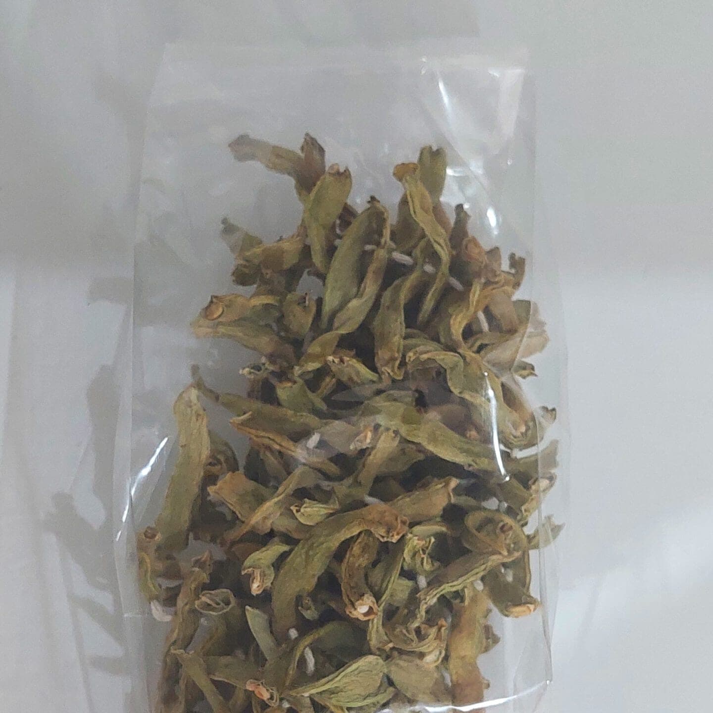 Fasulye kurusu güneş kurusu