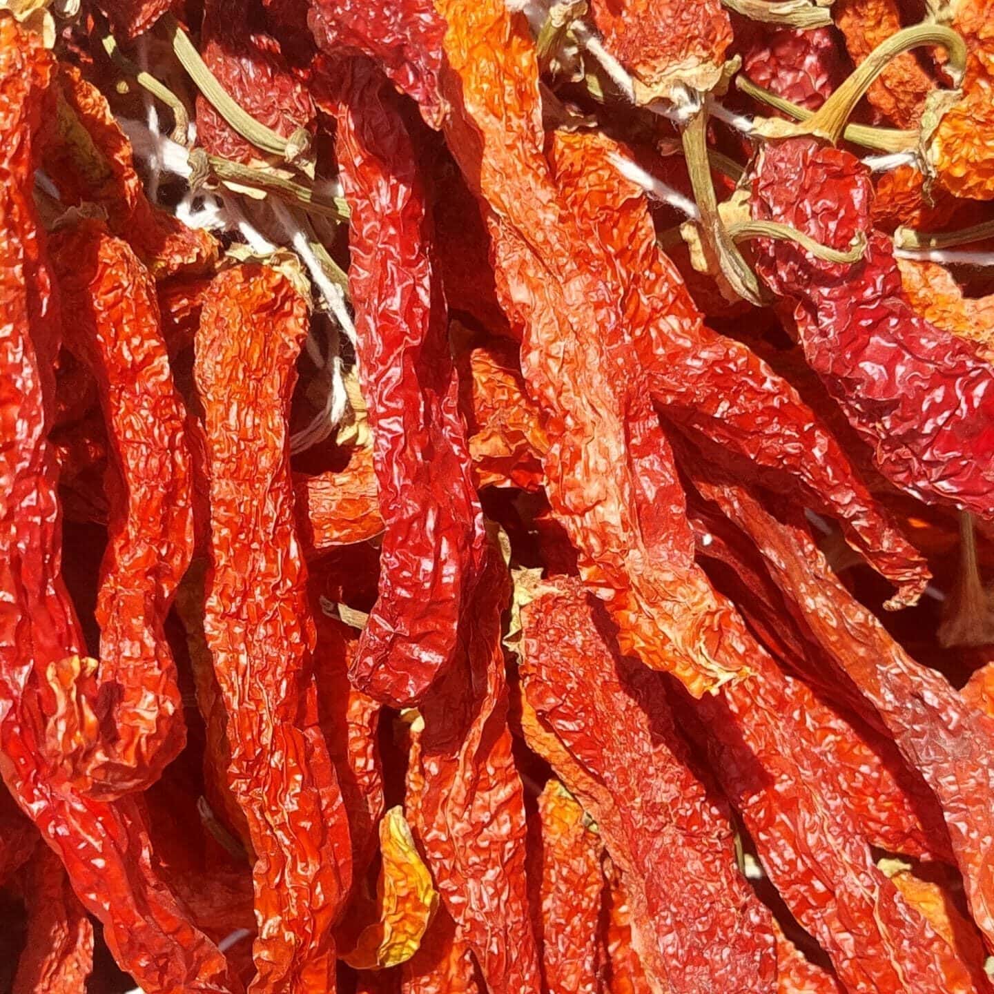 Günaş kurusu sivri biber acı veya tatlı yeni mahsül