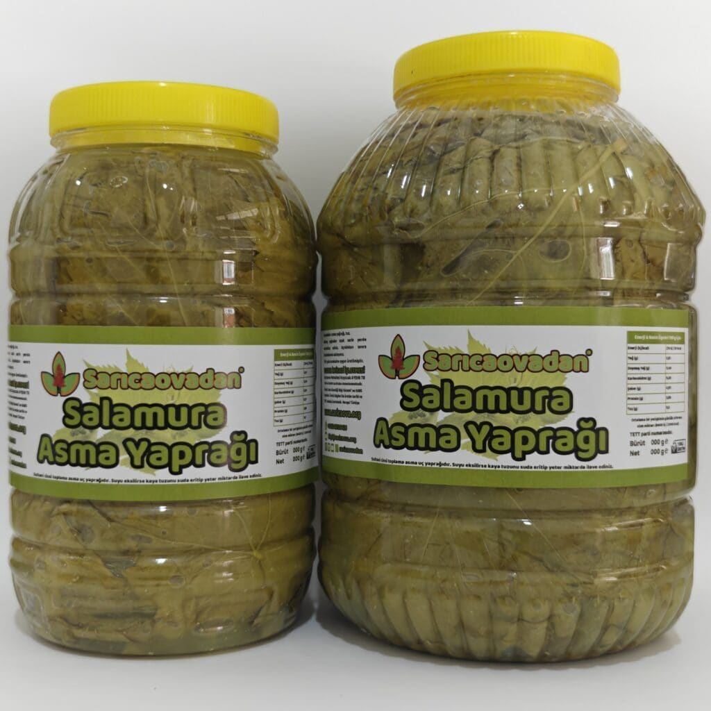 Salamaura asma yaprağı pet damarsız sapsız asma yaprağı yeni mahsül özel toplama