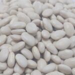 Kuru fasulye beyaz dermeson