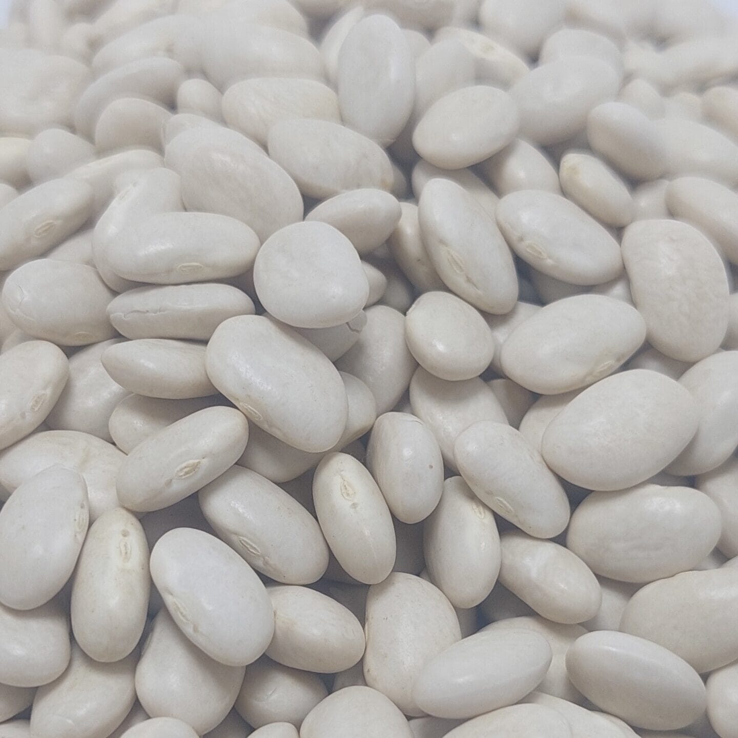 Sarıcaovadan-kuru-fasulye.jpg Kuru fasulye beyaz dermeson