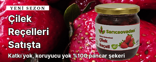 Yeni üretim yeni sezon çilek reçeli katkısız koruyucusuz el yapımı