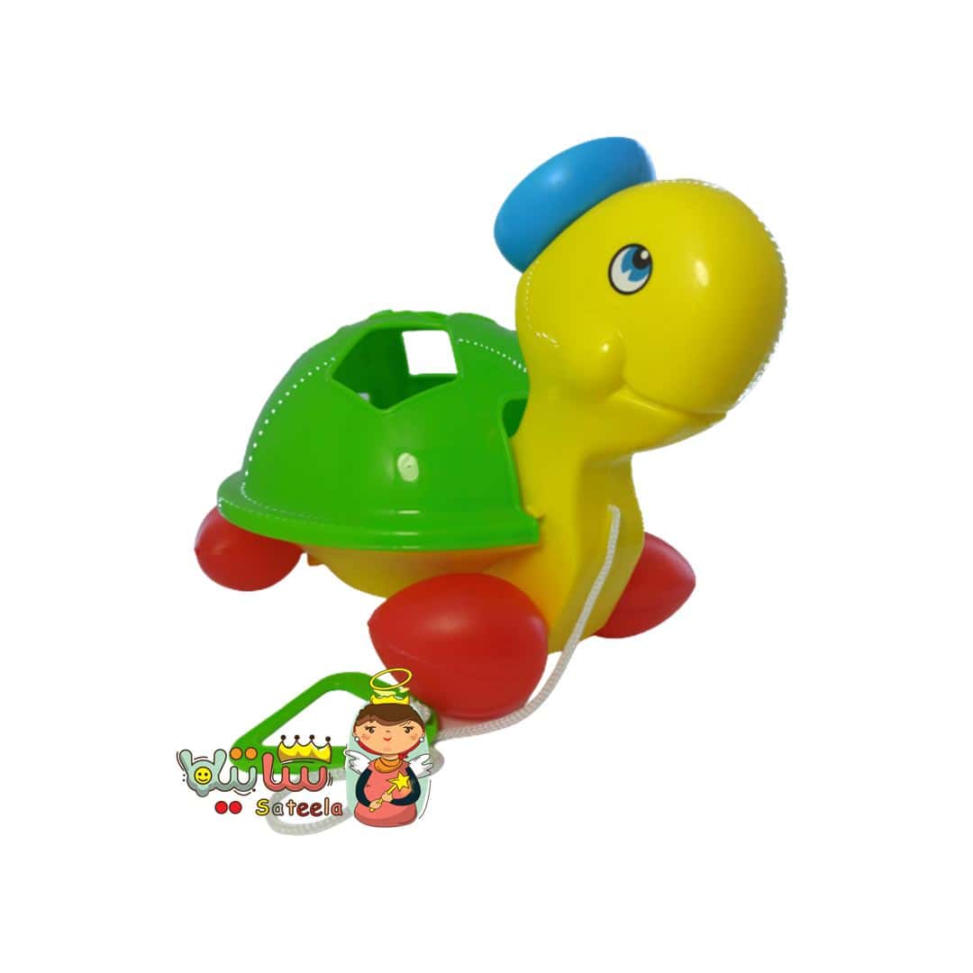 لاک پشت اشکال