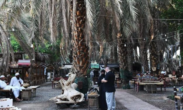 Rural Farms in Madinah Welcome Visitors with Family Activities