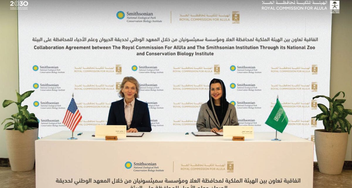 Arabian Leopard Conservation Boosted by AlUla-Smithsonian Pact