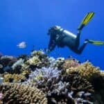 Coral Reef Conservation at Red Sea Global: Innovative Methods