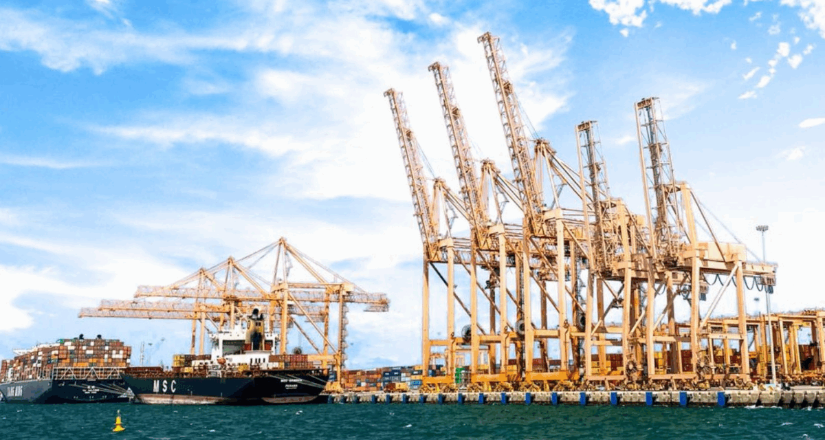 MSC Chinook Clanga Saudi service strengthens Dammam and Jubail ports