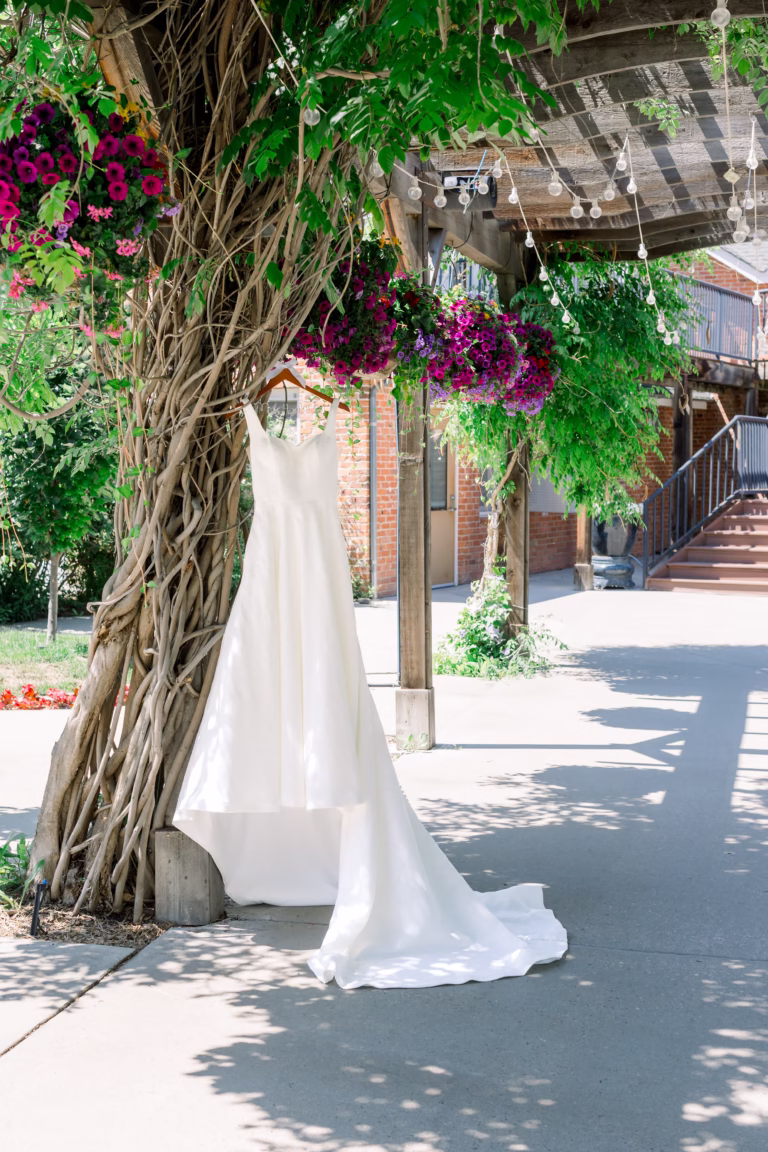 Beautiful wedding dress hanging on vines