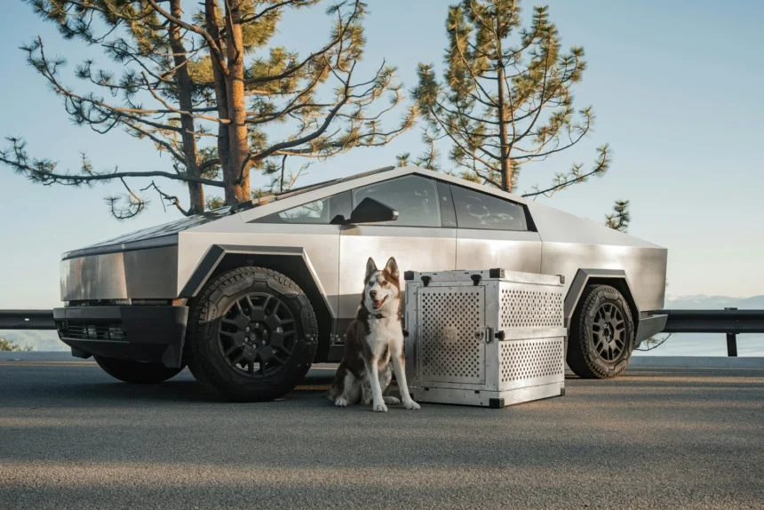 Best Dog Bags You Can Buy