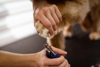 Best Pet Nail Clippers and Trimmers