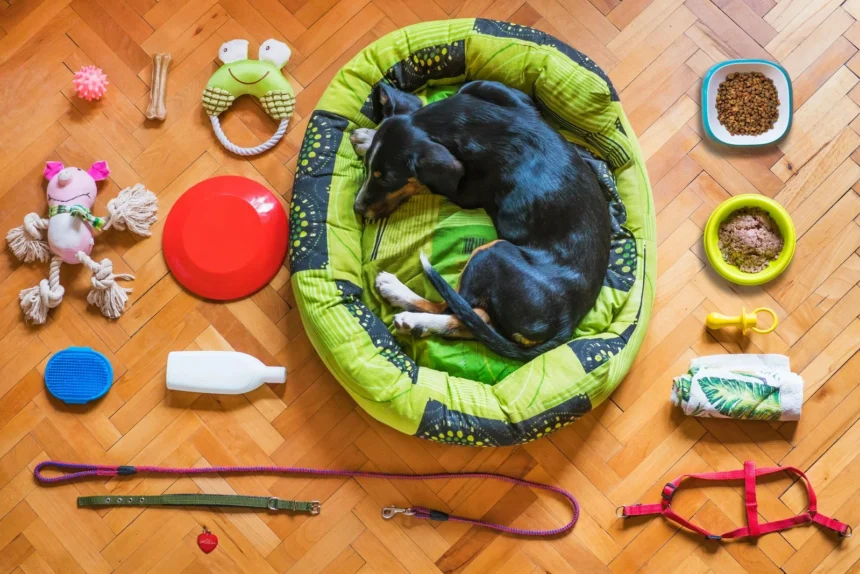 Best Soft Dog Toys for Aggressive Chewers