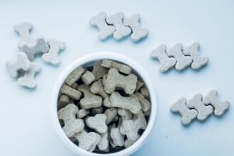 a bowl of dog treats
