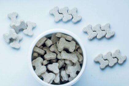 a bowl of dog treats