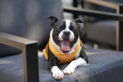 Best Cooling Vest