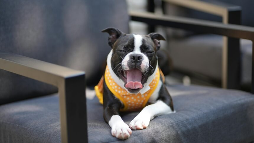 Best Cooling Vest