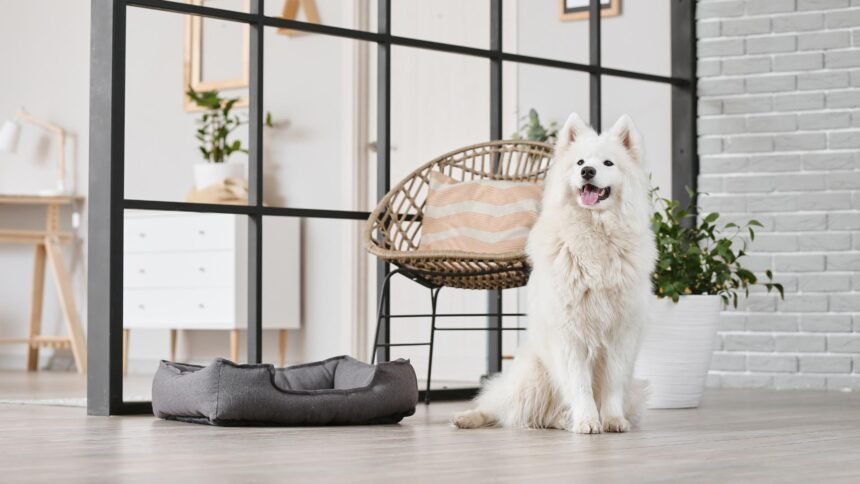 How long Can Dogs Hold Their Pee