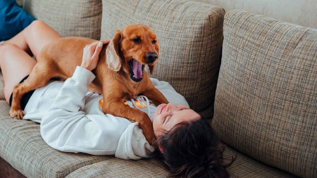 How to Deal With Stubborn or Anxious Dogs