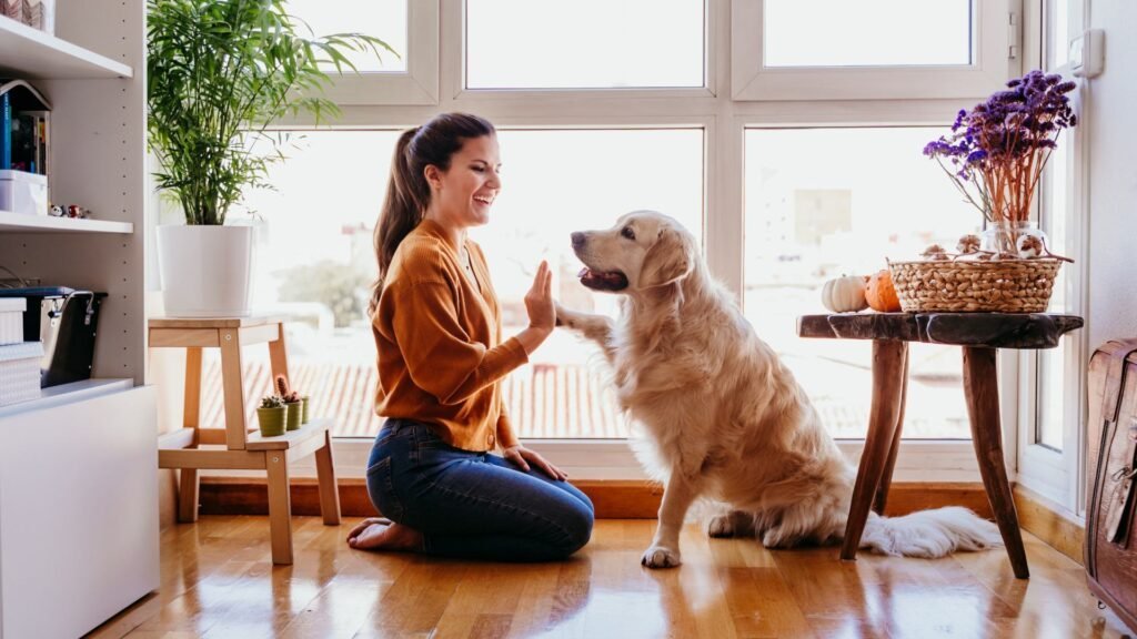 Positive Reinforcement Strategies