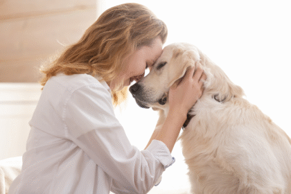 How To Treat Dog Leg Pain after Vaccination