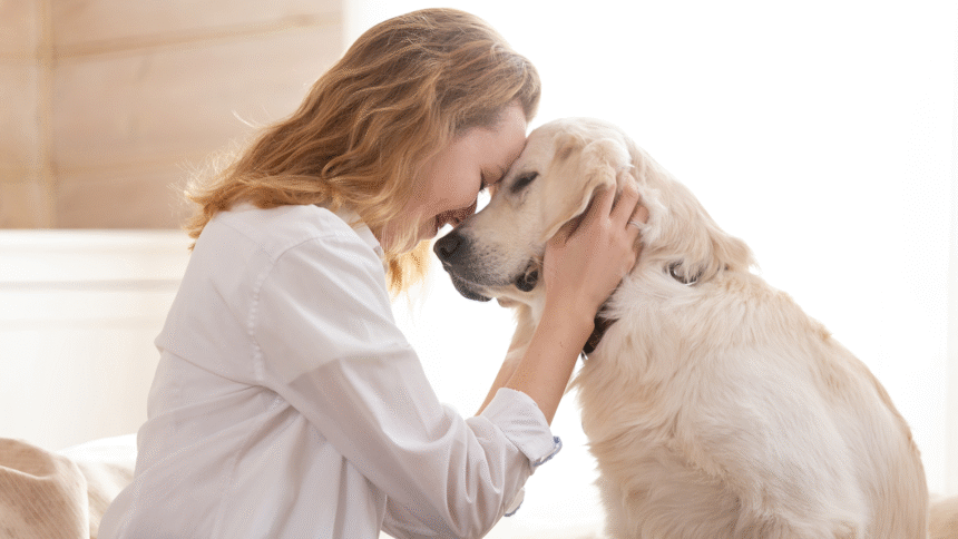 How To Treat Dog Leg Pain after Vaccination