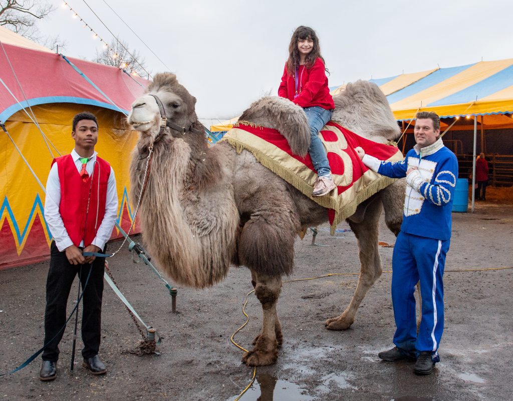 Weihnachtszirkus Bravo, ©Fracasso