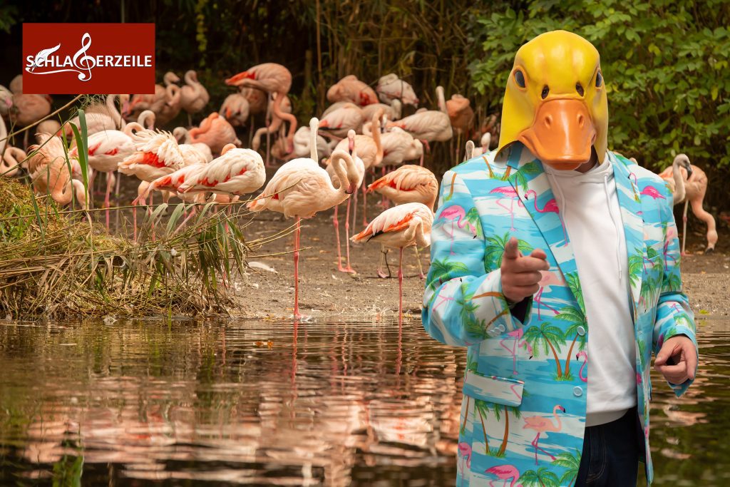Ingo ohne Flamingo, ©Fracasso
