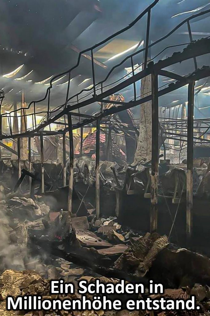 Stefan Mross, Feuer im Europapark