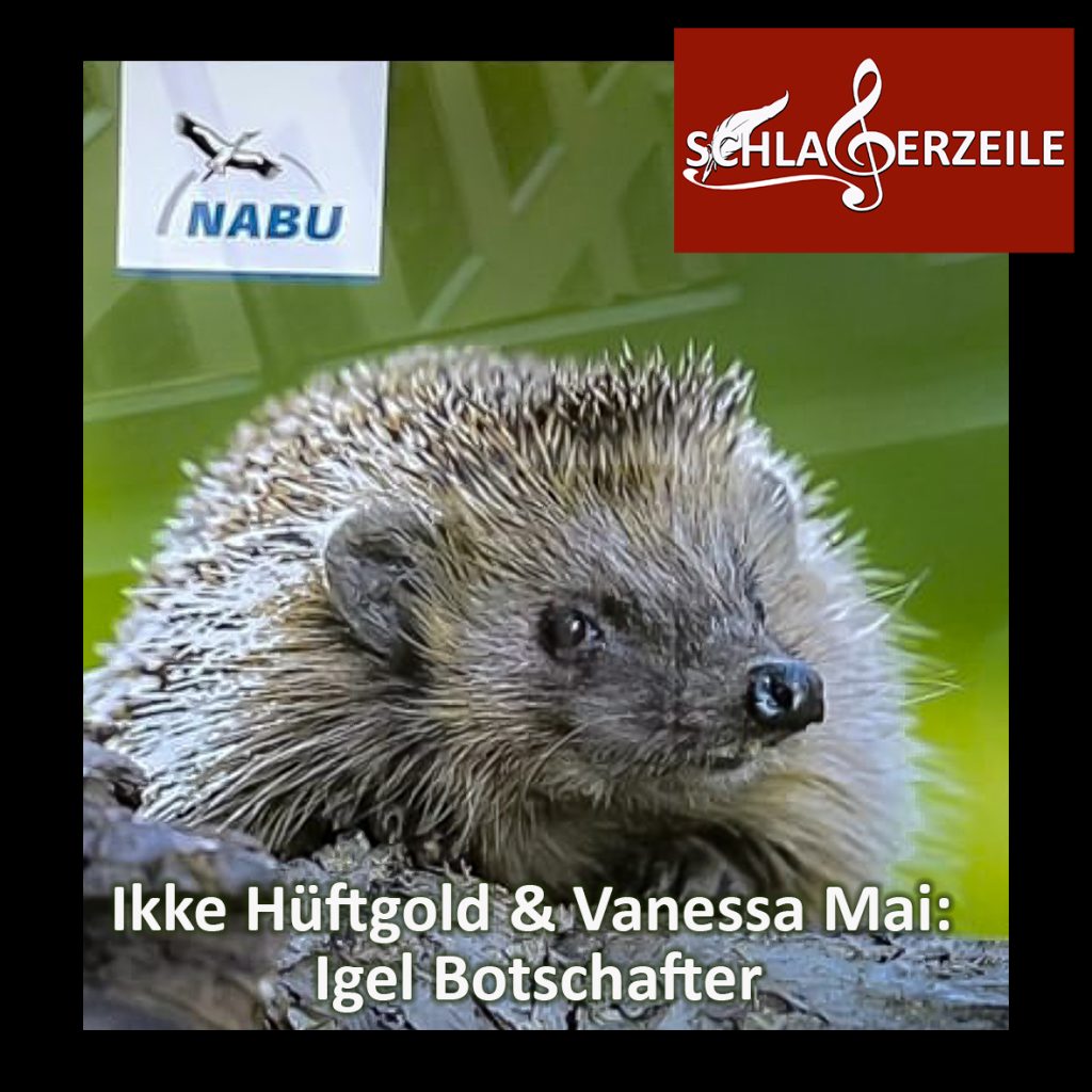 Vanessa Mai, Ikke Hüftgold, Igel