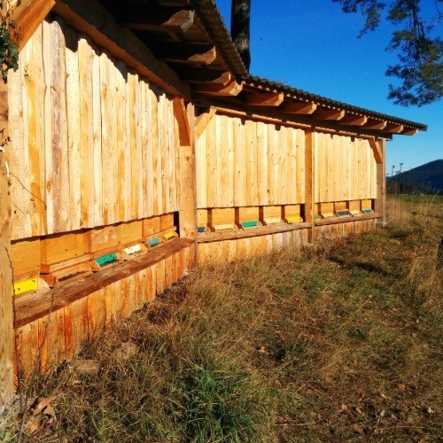 Bienenstock