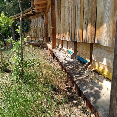 Bienenstock