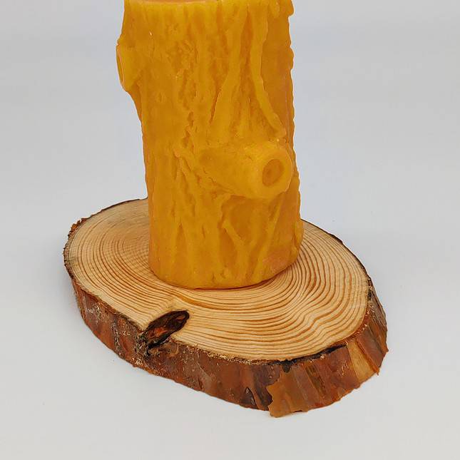 Baumstumpf