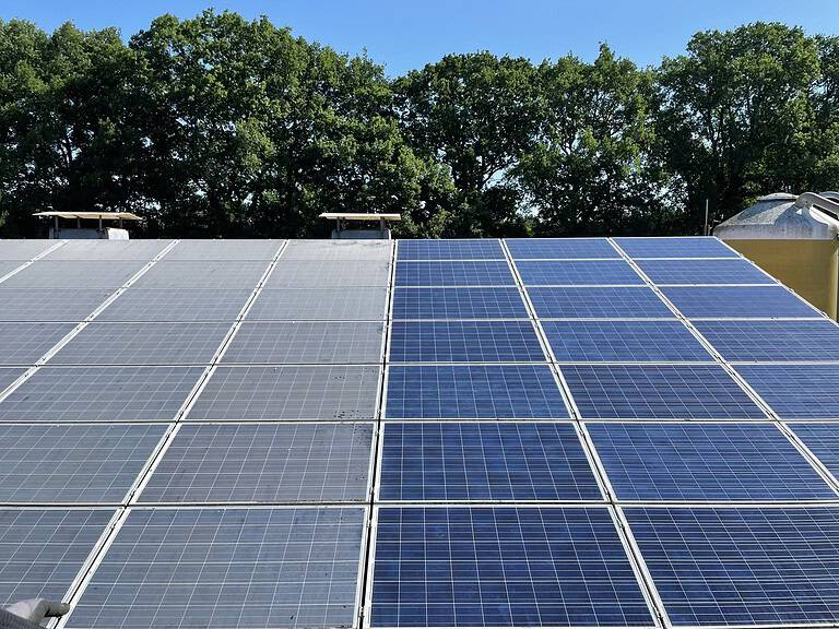 Photovoltaikreinigung aus Achim bei Bremen | Schwarz Premium 1 Photovoltaikreinigung