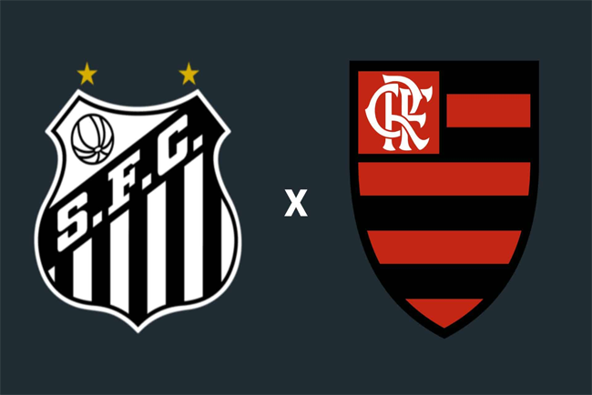 Flamengo vs Santos
