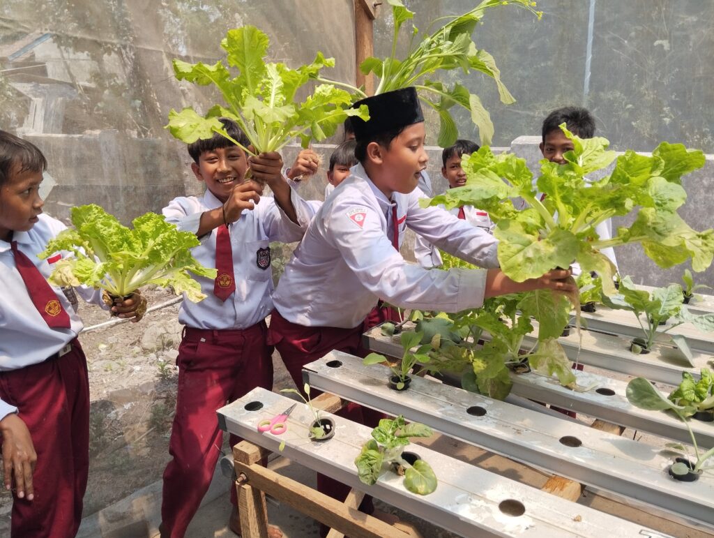 SDN Joho 2 Menerapkan Kegiatan Menanam dengan Sistem Hidroponik